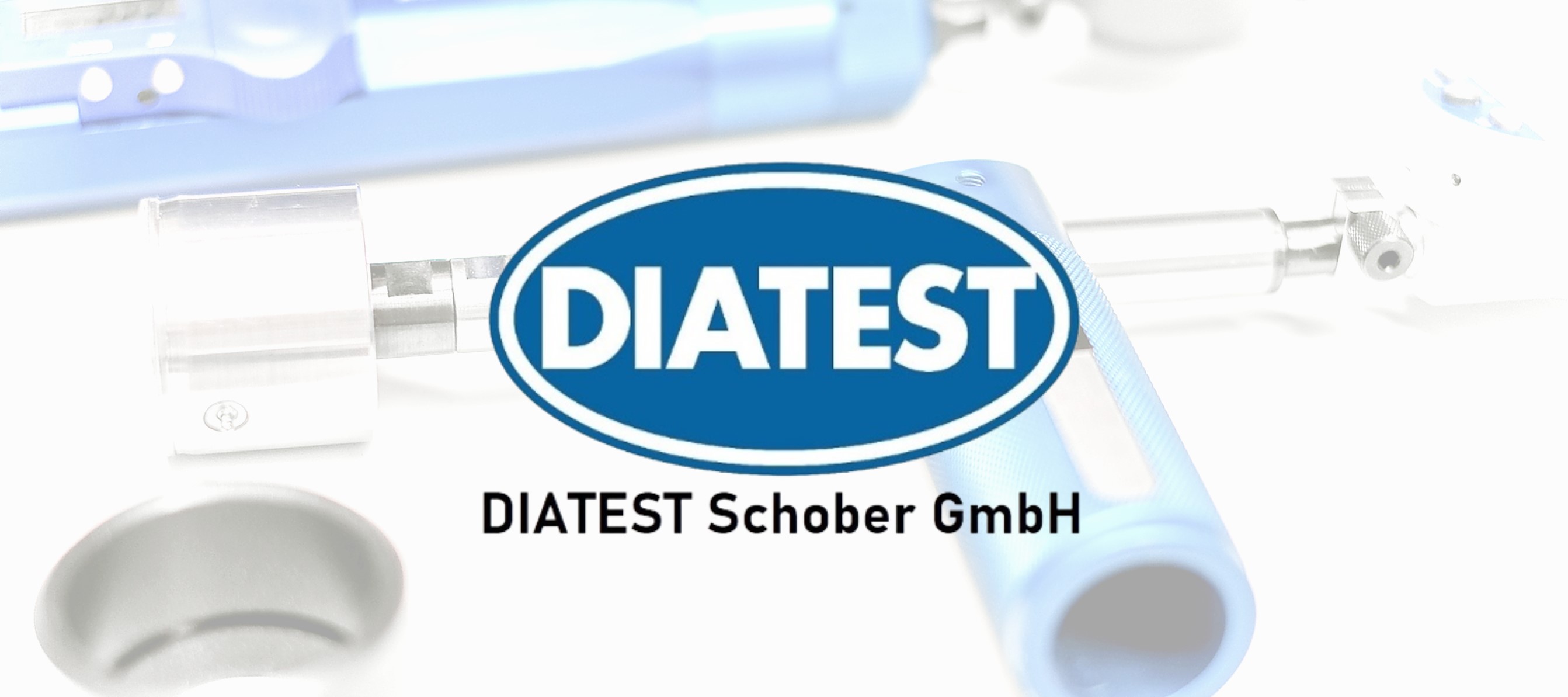 DS_Logo